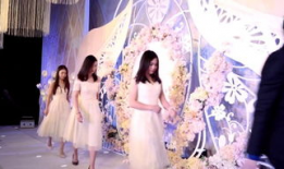 婚礼主持视频,婚礼主持视频精彩回顾