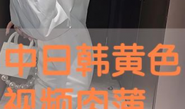 日韩黄视频,揭秘背后真相与影响
